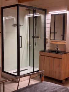 a bathroom with a shower and a sink at MontHuit in Houffalize