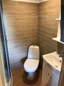 a bathroom with a toilet and a sink at Vienmerjura in Benuži