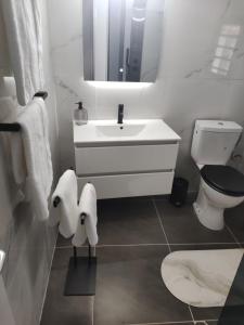 a bathroom with a sink and a toilet and a mirror at Villa Pauline in Les Abymes +4 photos