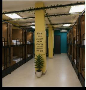 a room with bunk beds and a potted plant in it at GPT hostel in Hyderabad
