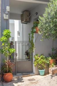 a group of potted plants on the side of a building at Ermira in Agios Nikolaos
