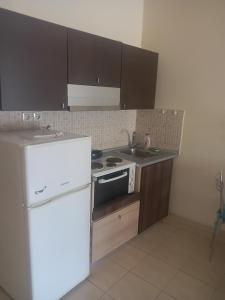 a kitchen with a white refrigerator and a stove at Melinas Home in Chrysoupolis