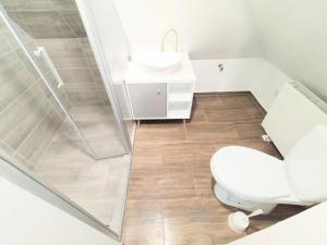 a bathroom with a toilet and a sink at Haus,Weinberg22 in Rüsselsheim