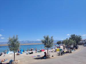 a group of people on a beach near the water at Apartman Mivela in Vir