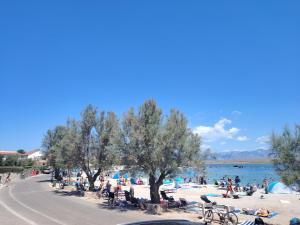 a group of people on a beach near the water at Apartman Mivela in Vir