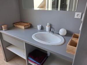 a bathroom counter with a sink and a mirror at Entre Terre et Mer in Malestroit