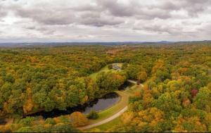 an aerial view of a river in a forest at Whimsy Woods - 14 Acre Millbrook Estate with Pool in Millbrook