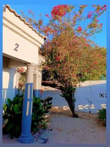 a tree with red flowers in front of a building at Kgajane Guest House in Molepolole