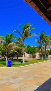 a group of palm trees in a park with a blue barrel at Pousada o Èdio in Beberibe