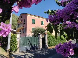a pink house with a gate and purple flowers at B&B Fattore in Levanto