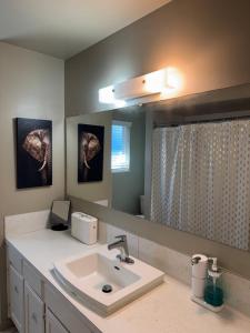 a bathroom with a sink and a mirror at Cozy nest in Coquitlam