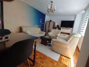 a living room with white furniture and a tv at Sky Vista in Železnička Stanica Tuzla +4 photos