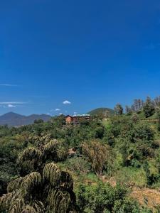 a house on top of a hill with trees at Tea Pick View Ella in Ella