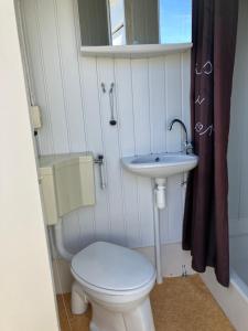 a small bathroom with a toilet and a sink at Strandelijk plekje in Nieuwerkerk