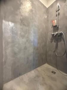 a bathroom with a shower in the corner at Foch F1 N7 in Le Creusot +8 photos