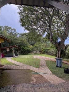 a stone walkway with a tree in a yard at Finca La Yeye in Puentetierra