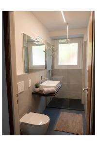 a bathroom with a toilet and a sink and a mirror at Arturs B&B Roveredo in Roveredo