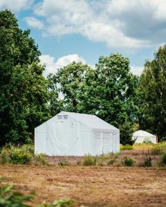 a white tent in the middle of a field at Jurtowisko in Wilcza Wólka