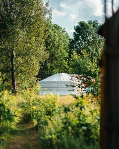 a greenhouse in the middle of a field with trees at Jurtowisko in Wilcza Wólka