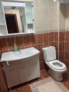 a bathroom with a toilet and a sink and a mirror at Family house, Savin kuk in Žabljak