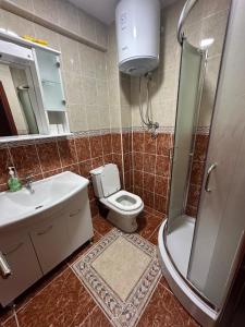 a bathroom with a toilet and a sink and a shower at Family house, Savin kuk in Žabljak