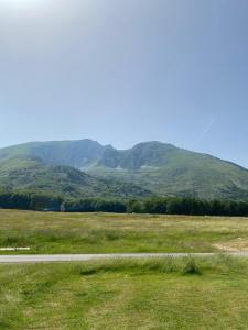 a field with a road and mountains in the background at Family house, Savin kuk in Žabljak