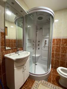 a bathroom with a shower and a sink and a toilet at Family house, Savin kuk in Žabljak +56 photos