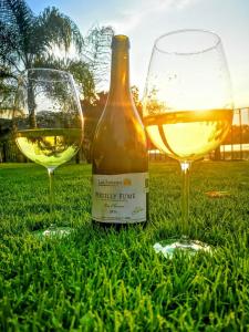 two glasses of white wine sitting in the grass at Lake side Luxury Duplex ! in Jurica