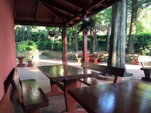 Zahrada ubytování Europa Hostel Portorož