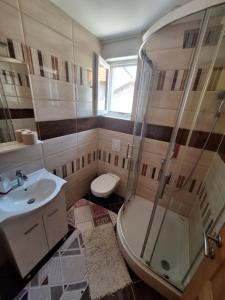 a bathroom with a shower and a toilet and a sink at Nensi in Mostar