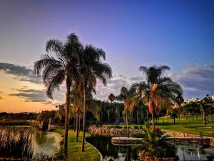 a group of palm trees next to a pond at Lake side Luxury Duplex ! in Jurica