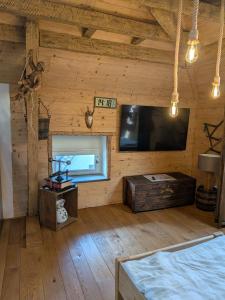 a living room with a television and wooden walls at Gästehaus LeLo 7 in Solingen