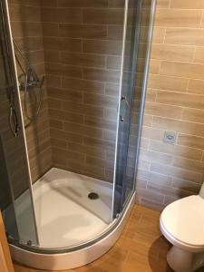 a bathroom with a shower with a toilet at Vienmerjura in Benuži