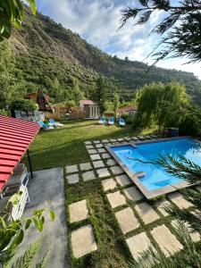 ein Garten mit Swimmingpool und einem Berg in der Unterkunft Arida farm in Bischarri