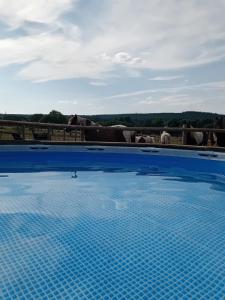 a blue swimming pool with a herd of cows behind a fence at Gîte avec jacuzzi privatif et piscine privative - Haras Le Val Du Conte in Le Bouillon