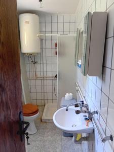 a bathroom with a sink and a toilet at Ljiljana apartmani Banja Vrujci in Rakari