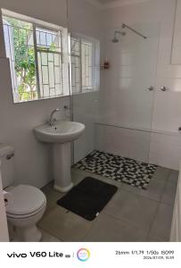 a bathroom with a toilet and a sink and a shower at Firehouse self-catering cottage 7 in Wellington