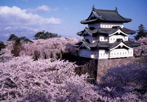 a japanese castle in the middle ofakura trees at IWAKI Stay KAKUREGI in Hirosaki