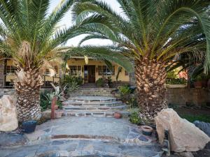 a courtyard with two palm trees and a building at Zebra River Lodge in Maltahöhe