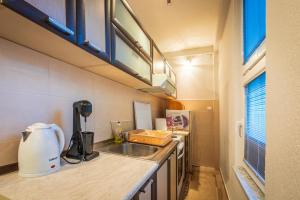 a kitchen with a sink and a mixer on a counter at Villa Stefan Kozuf in Konsko +15 photos