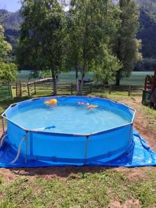 a blue pool of water with two gold fishes in it at Vikendica Hećo in Višegrad
