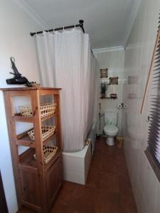 a bathroom with a shower curtain and a toilet at Casa La Tapita in Marbella +97 photos