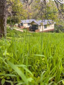 a house in the middle of a field of grass at SELKINCHEK resort in Kugart
