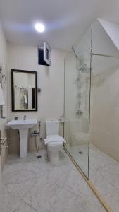 a bathroom with a shower and a toilet and a sink at Retro Silent Boutique Hotel in Baku +147 photos
