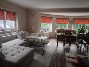 a living room with a couch and a table at Casa Elena in Râmnicu Vâlcea
