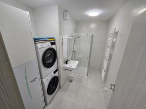 a bathroom with a washing machine and a washer and dryer at Apartma Tri Srca Radenci 3 sobe in Radenci