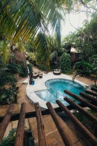 a swimming pool in a garden with a palm tree at Kitecabana Pousada in Cumbuco