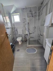 a bathroom with a shower and a toilet and a sink at Mountain House 22 in Žabljak +21 photos