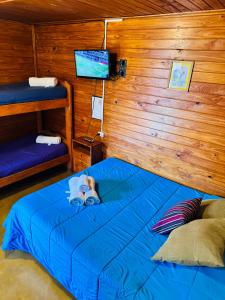 a small dog laying on a bed in a room at Hostal del Suri in Cafayate