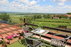 a balcony with a table and two chairs and flowers at Hotel Vinohrad in Milotice